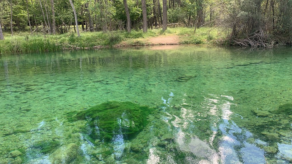 Laguna de agua cristalina en bosque de montaña