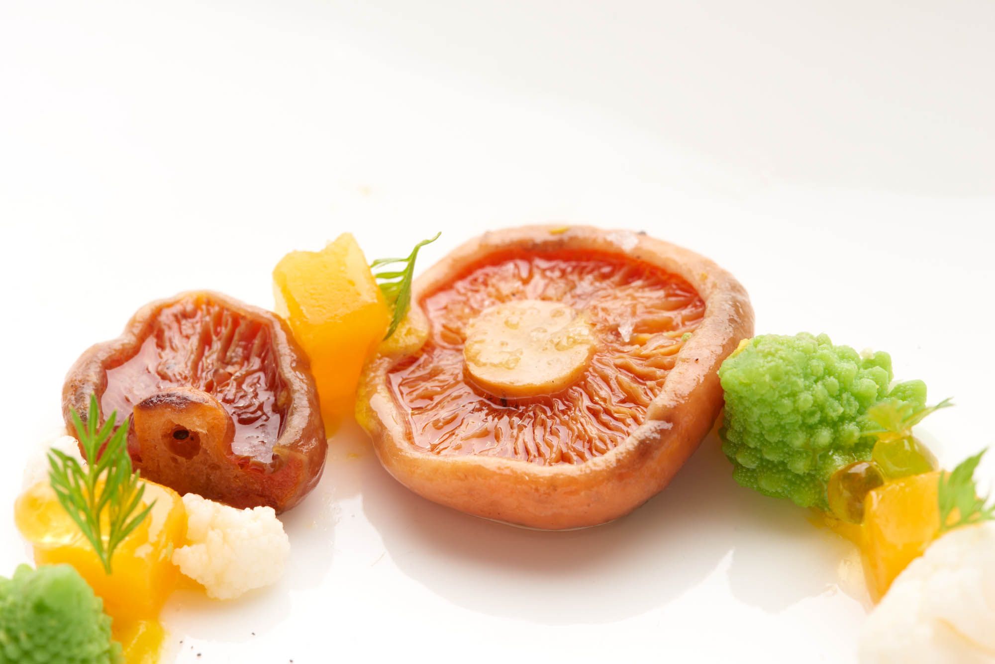 05 setas de castilla la mancha.jpg