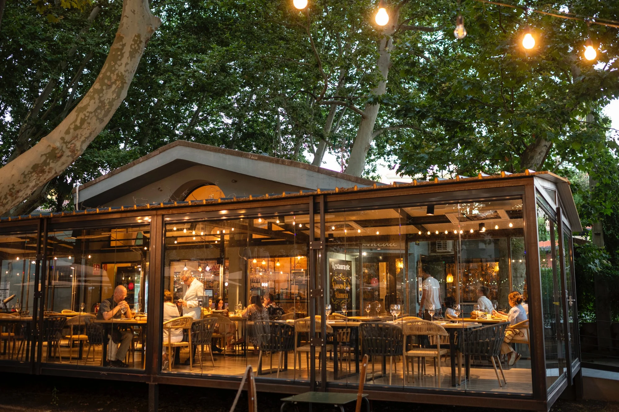 Pabellón acristalado iluminado por la noche entre árboles frondosos.